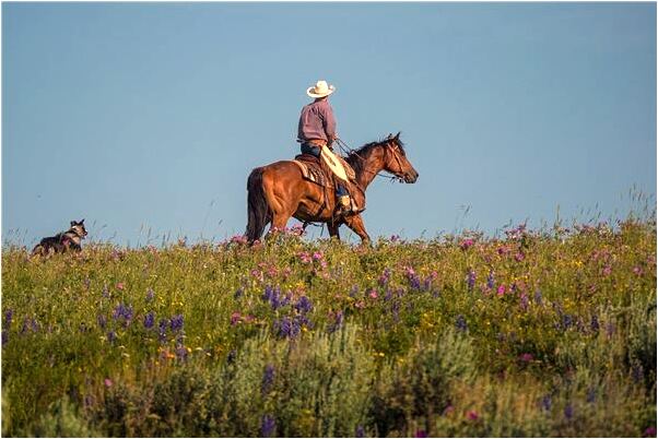 夢見被告人恨我意味著什麼_周公解夢官網