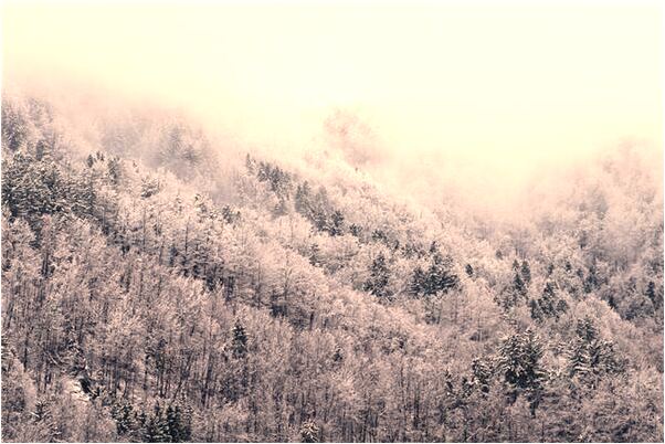 夢到了自己占別人的院子怎么樣_周公解夢官網