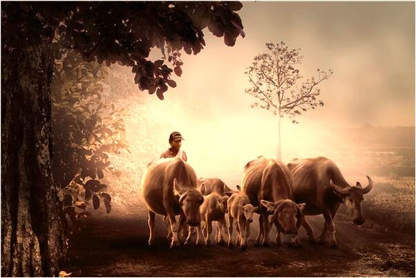 夢見喜歡自己的人看色情片是好的徵兆嗎_周公解夢官網