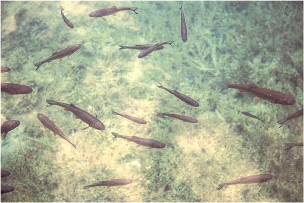 夢見朋友的貴重東西被偷了會有什麼預兆_周公解夢官網