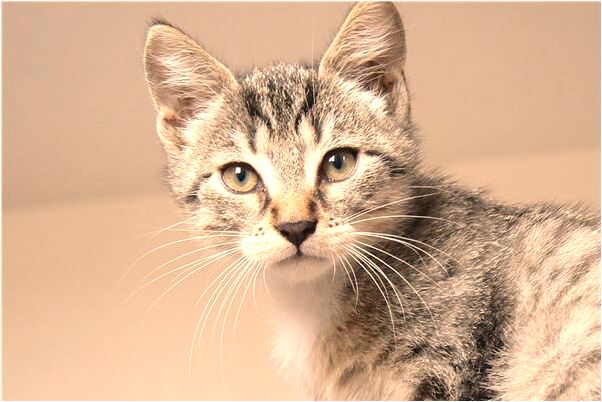 夢到了丟了木頭是什麼徵兆_周公解夢官網