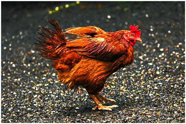 夢見和別人遇鬼好不好_周公解夢官網