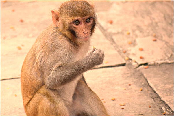 夢到在河裡拾寶石有什麼徵兆_周公解夢官網