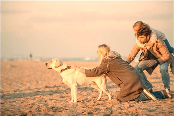 夢到別人拿走我們家的章是什麼啟示_周公解夢官網