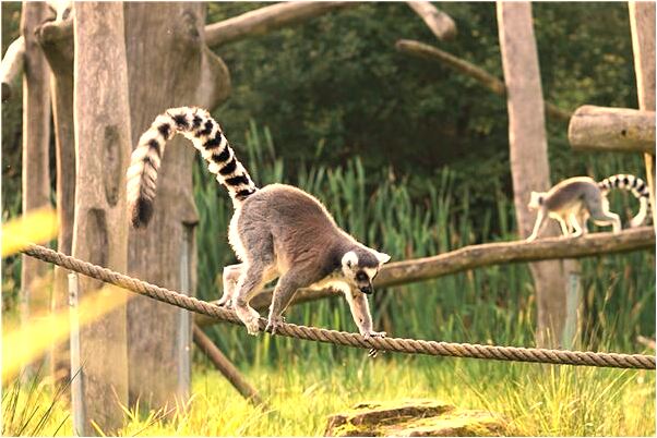 夢到雞蛋碎了是啥預兆_周公解夢官網