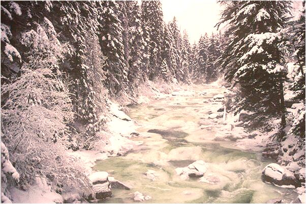 夢到別人家的孩子被鬼附身有什麼預兆_周公解夢官網