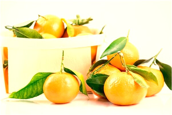 夢見指甲斷裂脫落代表著什麼？_周公解夢官網