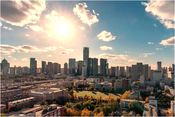 夢到父親殺雙頭蛇的頭餵狗是怎么回事_周公解夢官網