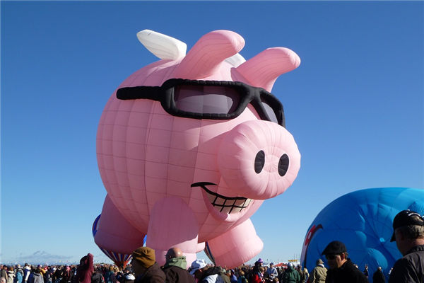 1995年7月屬豬的事業運_十二生肖