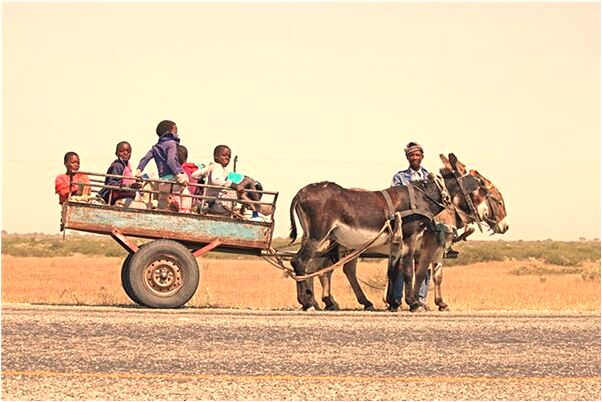 夢到燕子搬家是什麼意思_周公解夢官網