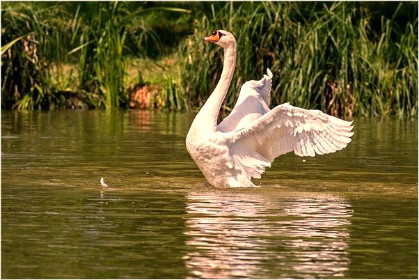 夢到給女兒買衣服什麼寓意_周公解夢官網