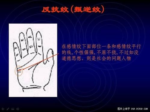 Palm fortune-telling various pattern recognition and the diagram of 7