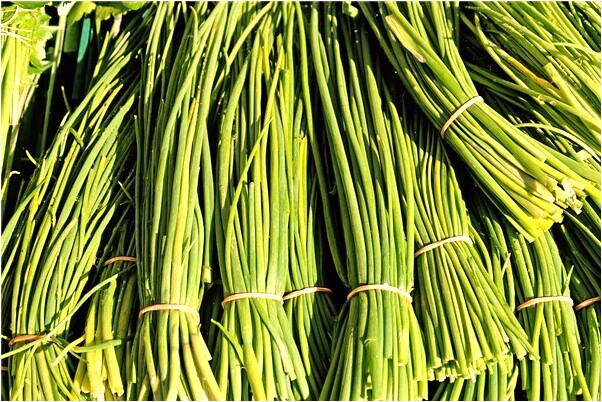 夢到自己家裡有很多熟棕子是什麼預兆_周公解夢官網