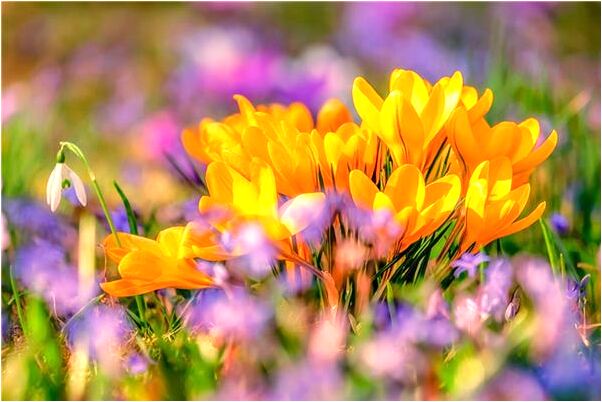 夢到了撿了幾塊錢有什麼意思嗎_周公解夢官網