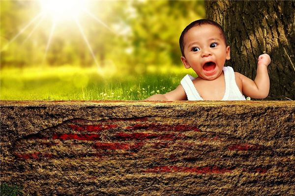 夢到咆哮意味什麼_周公解夢