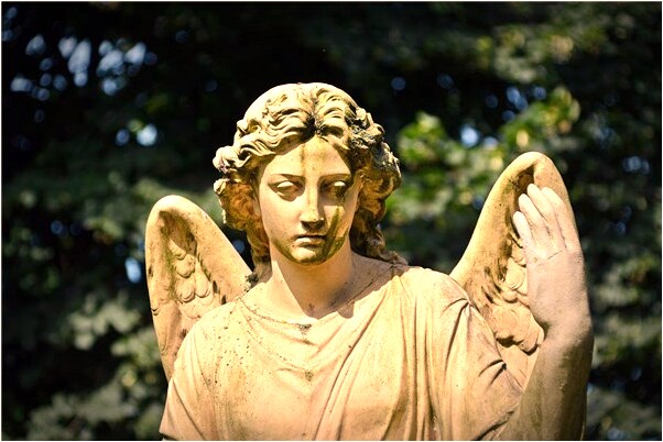 夢到嫁給明星是凶兆還是吉兆_周公解夢官網