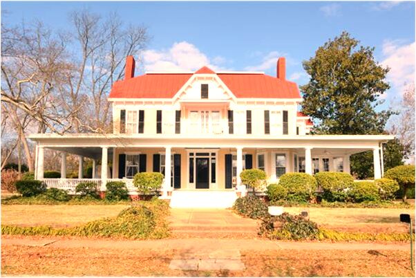 夢見貓咬手指出好多血是咋回事_周公解夢官網