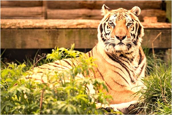 夢到考試時卷子找不到了代表什麼_周公解夢官網