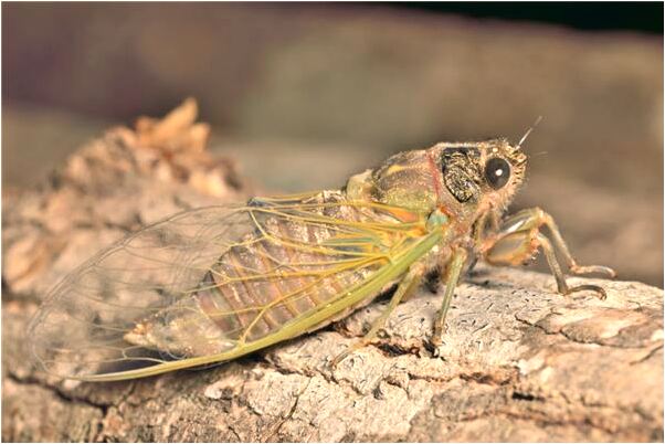夢到空杯子裂有什麼預兆_周公解夢官網