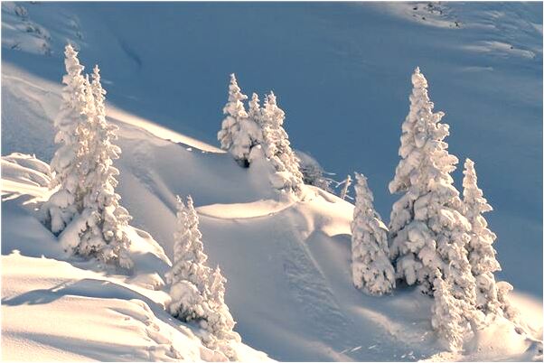 夢到別人割我手是怎么回事_周公解夢官網