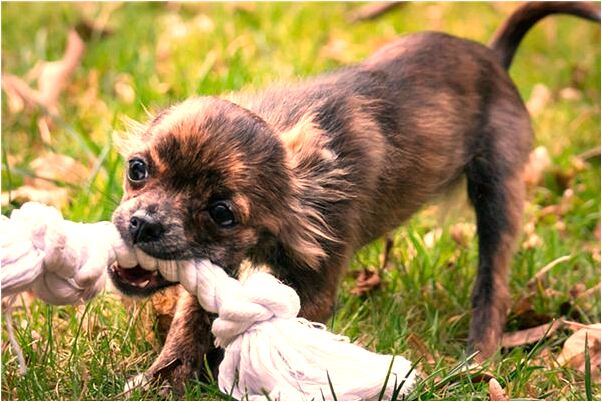 夢見墳墓里的屍骨代表著什麼_周公解夢官網