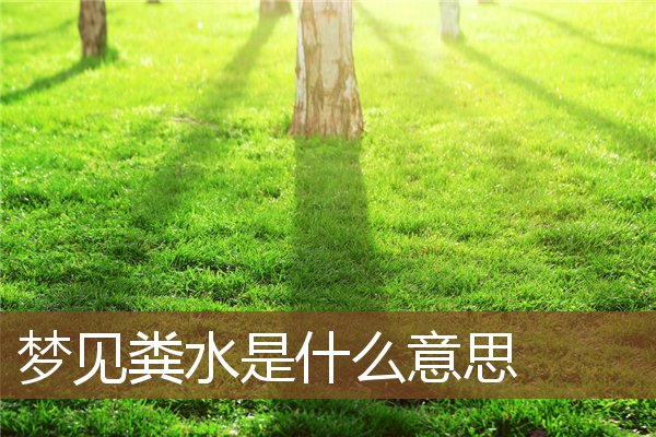 夢見糞水是什麼意思_周公解夢