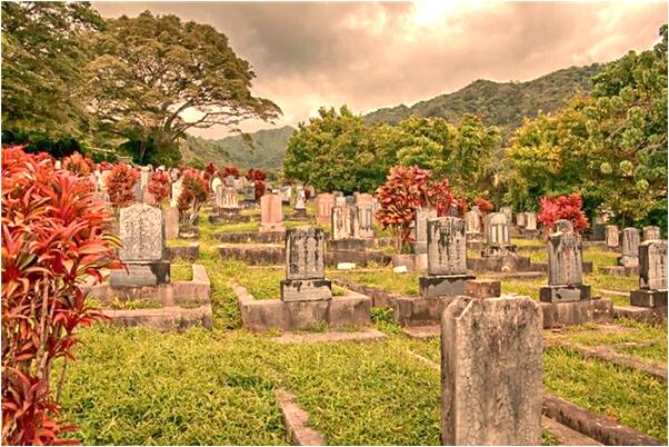 夢到買白短袖代表什麼_周公解夢官網