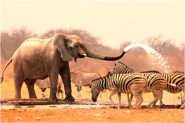 夢到了自己身份暴露有什麼意思嗎_周公解夢官網