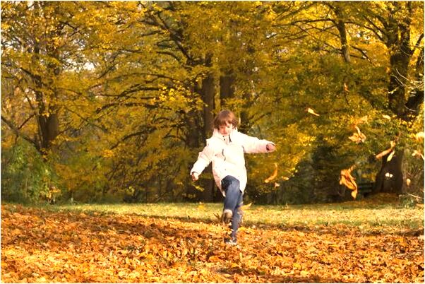 夢到頭頂裂開怎么說_周公解夢官網