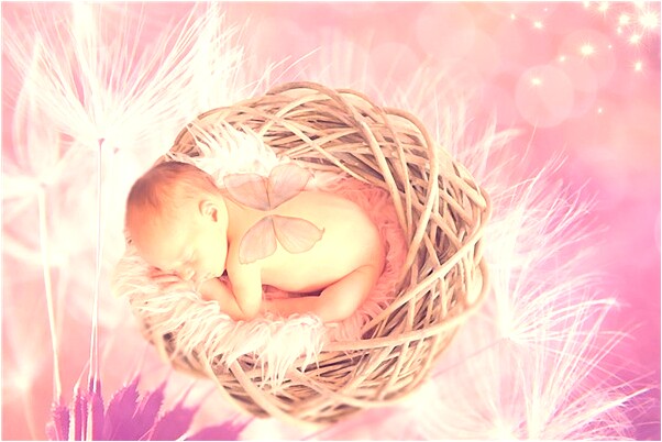 夢到和姐姐一起去外婆家意味著什麼_周公解夢官網