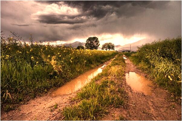 夢到了熟人拿走了愛人的紫色內褲好不好_周公解夢官網