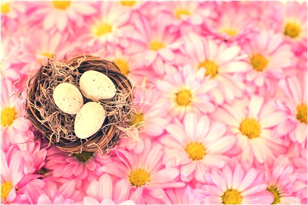 夢到了家中有小偷會是什麼預兆_周公解夢官網