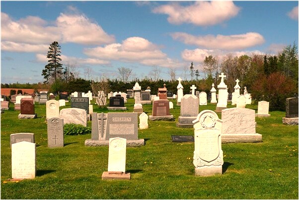 夢到小偷把我手機偷了是不是好的徵兆呢_周公解夢官網