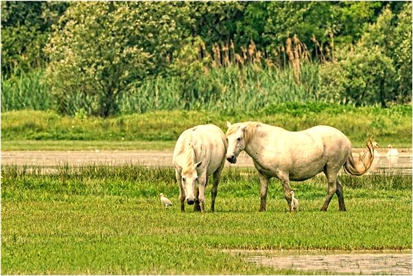 夢到了父母被追債自己還有什麼預示嗎_周公解夢官網