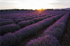 公曆2022年7月16日是農曆幾月幾日