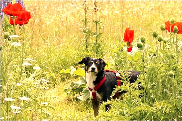夢到老公跟別人做愛我也在意味著什麼_周公解夢官網