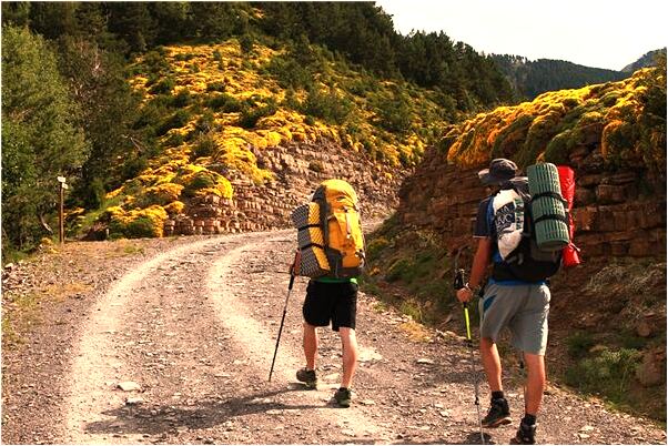夢到了死去的老姑血奶奶預兆了什麼嗎_周公解夢官網
