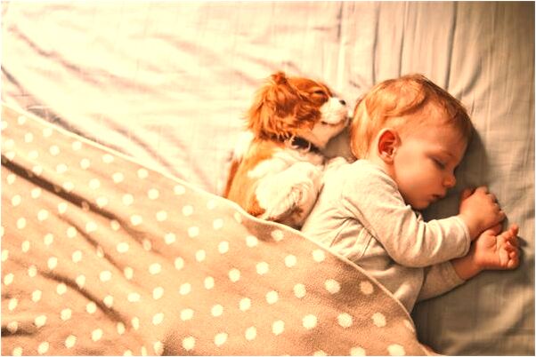 夢到大風把老宅颳倒預示什麼_周公解夢官網