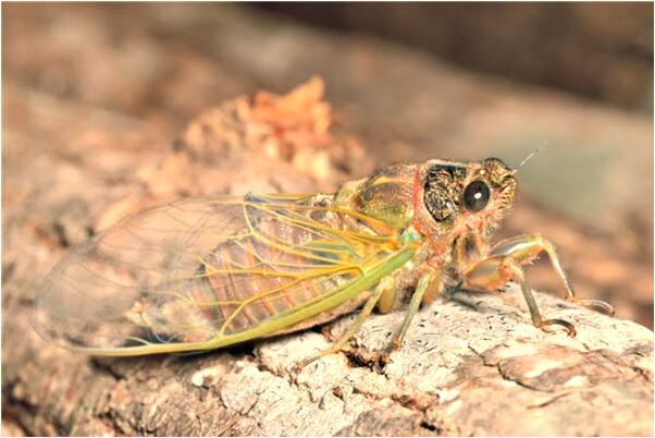 夢見把牆推倒了是什麼兆頭_周公解夢官網