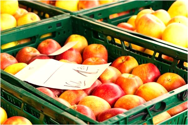 夢見母親從棺材中出來意味著什麼_周公解夢官網