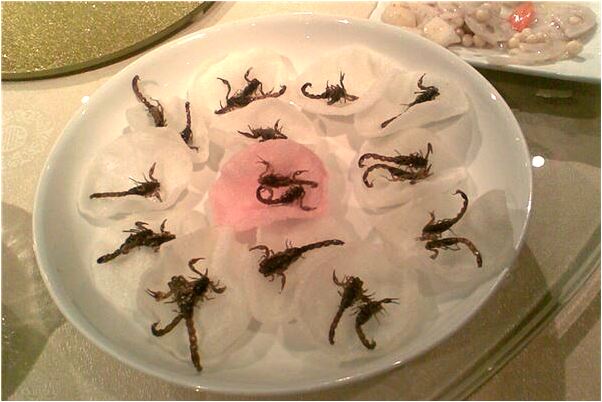 夢見在山上跟別人聊天有什麼寓意嗎_周公解夢官網