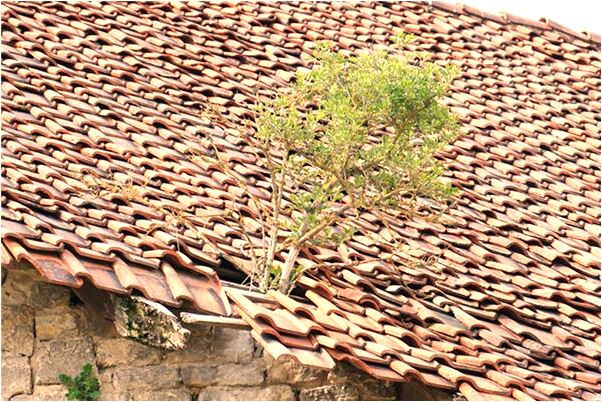 夢到了上到高房上下不來是什麼預兆？_周公解夢官網