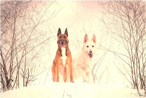 夢到了用刀割別人腳筋有什麼意思_周公解夢官網