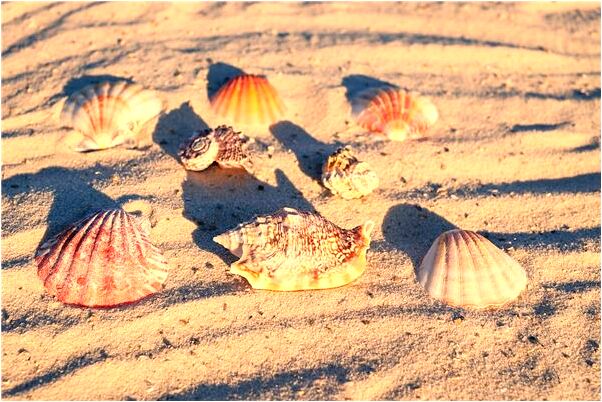 夢到了好多要洗的衣服有何寓意_周公解夢官網