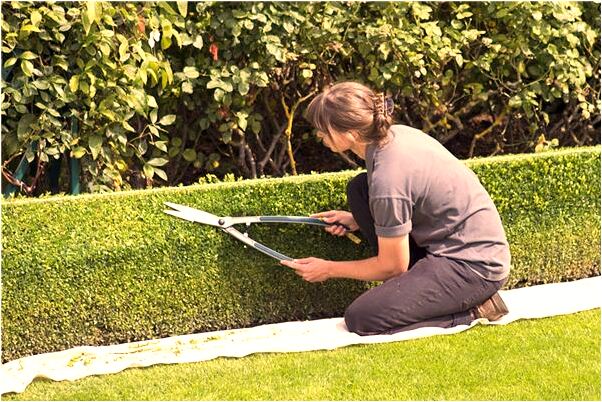 夢到己逝者再逝會有什麼預兆_周公解夢官網