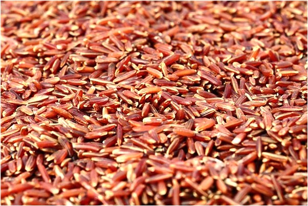 夢到了找教學樓是什麼兆頭_周公解夢官網