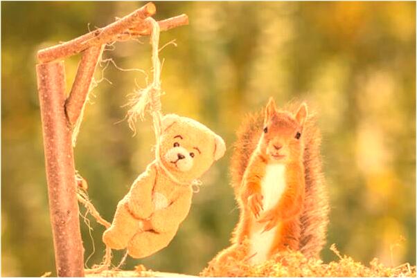 夢見和老公小三打藍球有什麼含義_周公解夢官網