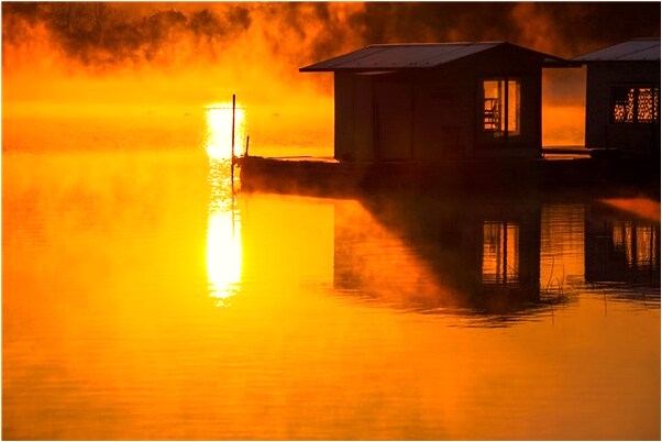 夢到抓蛇放蛇是怎么回事_周公解夢官網