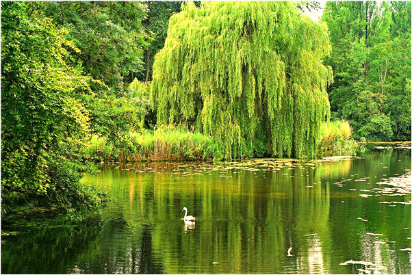 夢到自己和不認識的男孩做愛怎么樣_周公解夢官網