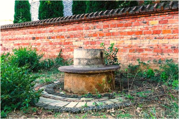 夢到了和老婆再次結婚是什麼徵兆_周公解夢官網